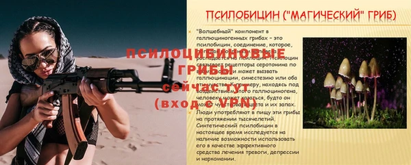 ECSTASY Баксан