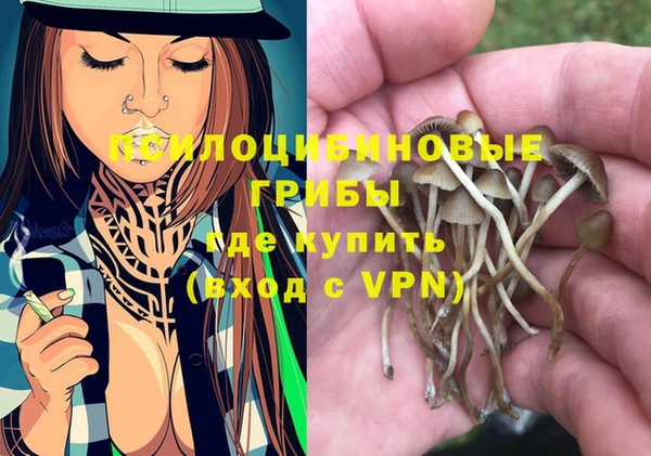 COCAINE Гусев